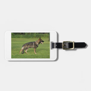 gsd voll gepäckanhänger