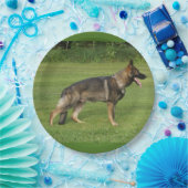 gsd voll pappteller (Party)