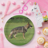 gsd voll pappteller (Party)