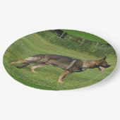 gsd voll pappteller (Schrägansicht)