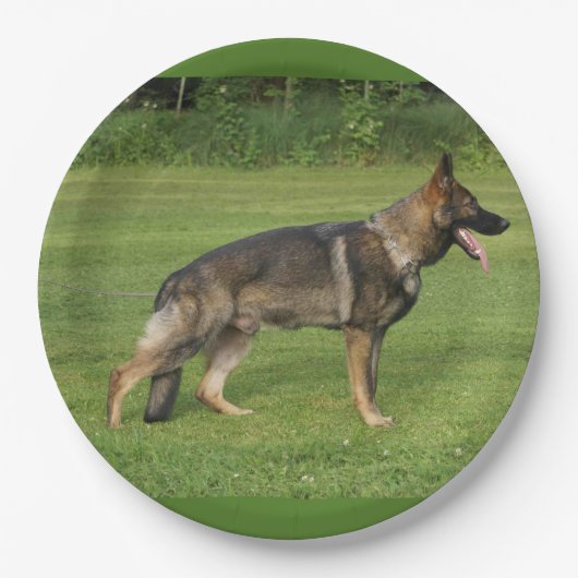 gsd voll pappteller (Vorderseite)