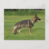 gsd voll postkarte (Vorderseite)