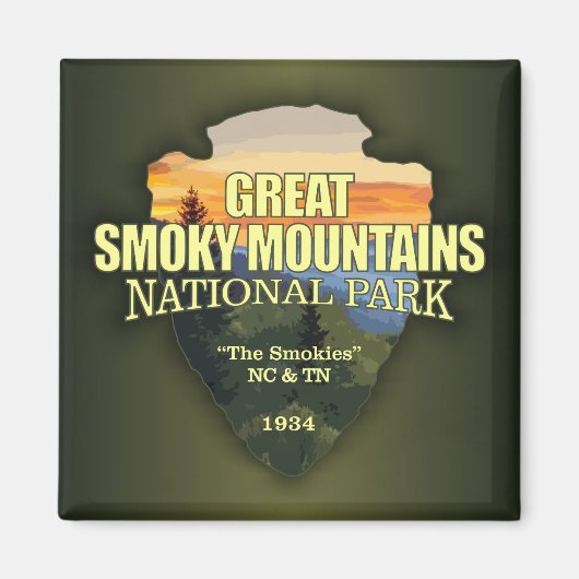 GSMNP (Pfeilspitze) Magnet (Vorne)