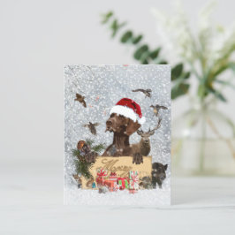 GSP ,Hundeschlitten Postkarte