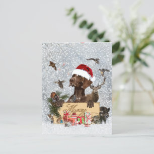 GSP ,Hundeschlitten Postkarte