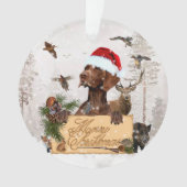 Gsp Weihnachtsglas-Ornament Ornament (Vorderseite)