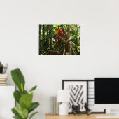 Guacamayo 7 Farben / Scarlet Macaw Poster (Heimbüro)