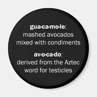 Guacamole Testicles Magnet
