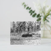 Guadalcanal Postkarte (Stehend Vorderseite)