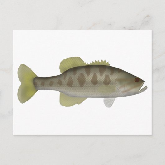 Guadalup Bass Postkarte (Vorderseite)