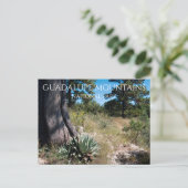Guadalupe Mountains Ridge Agave, Pine und Juniper Postkarte (Stehend Vorderseite)