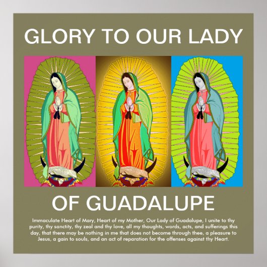 GUADALUPE POSTER (Vorne)