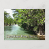 Guadalupe River in Gruene, Texas Postcard Postkarte (Vorderseite)