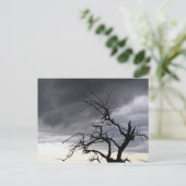 Guadalupe Storm Postkarte (Stehend Vorderseite)