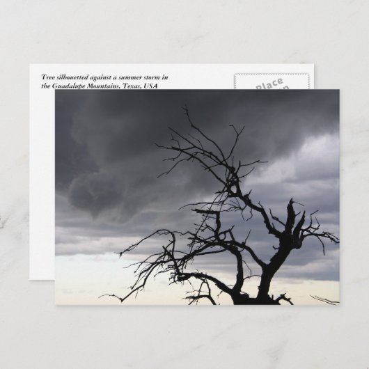 Guadalupe Storm Postkarte (Vorne/Hinten)