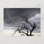 Guadalupe Storm Postkarte (Vorderseite)