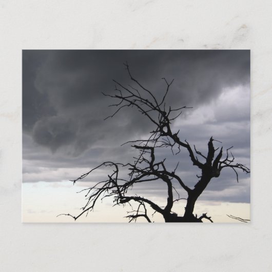 Guadalupe Storm Postkarte (Vorderseite)