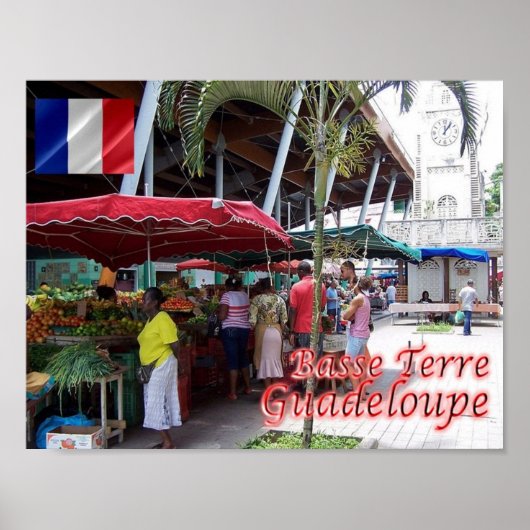 Guadeloupe - Basse Terre - Poster (Vorne)