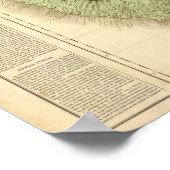 Guadeloupe Poster (Ecke)