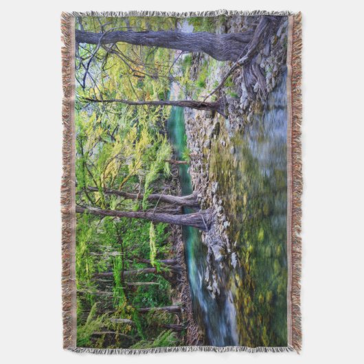 Guagalupe Decke (Vorderseite Vertikal)