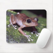 Guajon Mousepad (Mit Mouse)