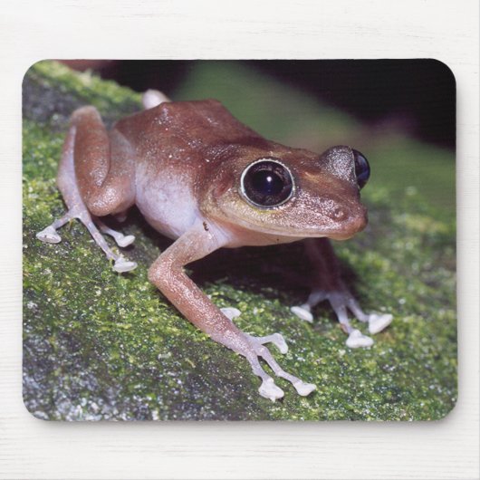 Guajon Mousepad (Vorne)