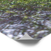 Guajon Poster (Ecke)