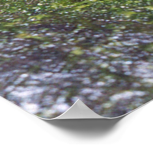 Guajon Poster (Ecke)