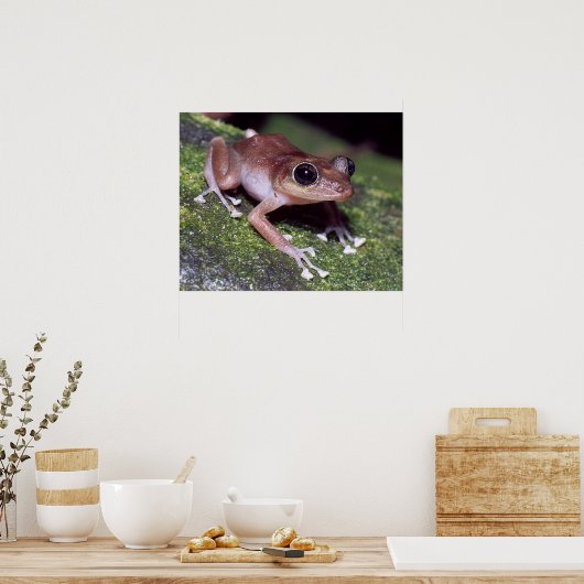 Guajon Poster (Küche)