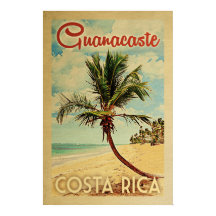 Guanacaste Palm Tree Vintage Travel