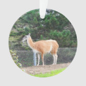 Guanaco #1 Ornament (Vorderseite)