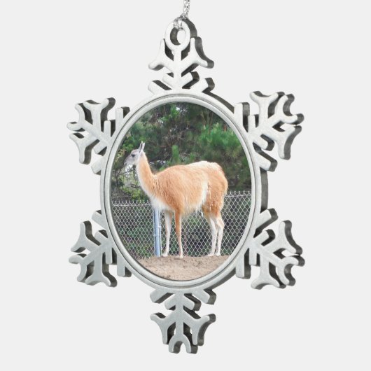 Guanaco #1 Snowflake Ornament (Rechts)