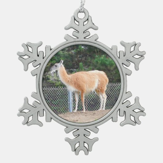 Guanaco #1 Snowflake Ornament (Vorderseite)