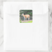 Guanaco #1 Stickers (Tasche)