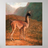 Guanaco (ca. 1848) Gemälde von Jacques-Laurent Ag Poster (Vorne)