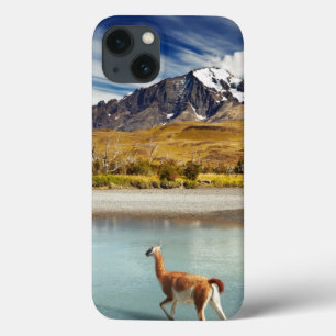 Guanaco, der den Fluss in Torres Del Paine kreuzt Case-Mate iPhone Hülle