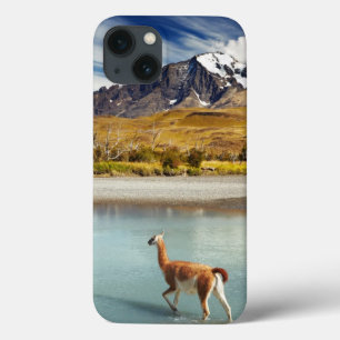 Guanaco, der den Fluss in Torres Del Paine kreuzt Case-Mate iPhone Hülle