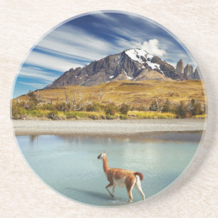 Guanaco, der den Fluss in Torres Del Paine kreuzt Getränkeuntersetzer