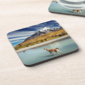 Guanaco, der den Fluss in Torres Del Paine kreuzt Getränkeuntersetzer (Linke Seite)