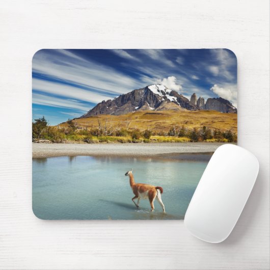 Guanaco, der den Fluss in Torres Del Paine kreuzt Mousepad (Mit Mouse)