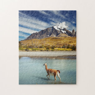 Guanaco, der den Fluss in Torres Del Paine kreuzt Puzzle