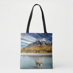 Guanaco, der den Fluss in Torres Del Paine kreuzt Tasche