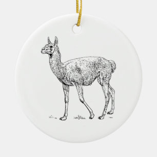 Guanaco Keramikornament