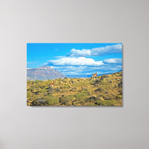 Guanaco-Land, Patagonia Leinwanddruck