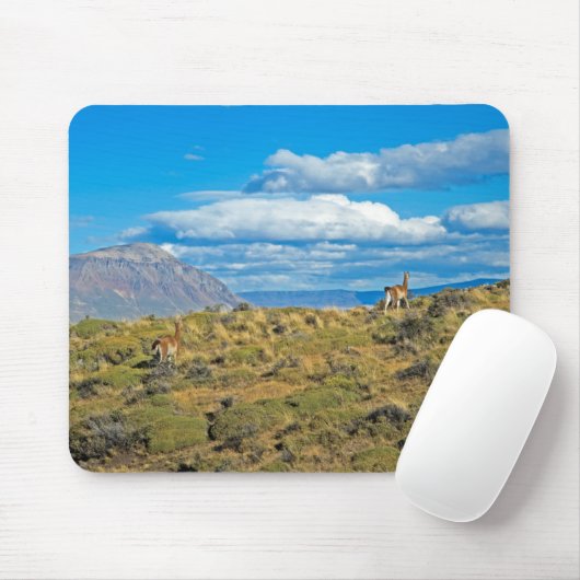 Guanaco-Land, Patagonia Mousepad (Mit Mouse)