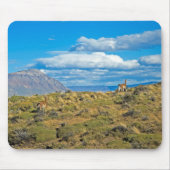 Guanaco-Land, Patagonia Mousepad (Vorne)