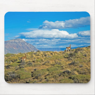 Guanaco-Land, Patagonia Mousepad