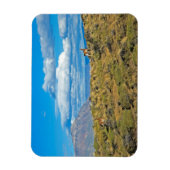 Guanaco-Land, Patagonien Magnet (Vertikal)