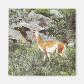 Guanaco Magnet (Vorne)