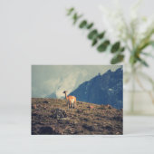 Guanaco Mountain Postkarte (Stehend Vorderseite)